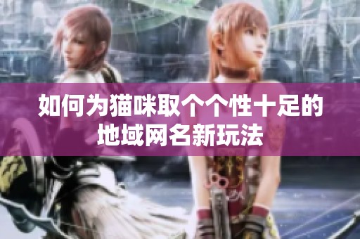 如何为猫咪取个个性十足的地域网名新玩法
