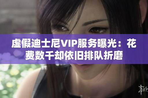 虚假迪士尼VIP服务曝光：花费数千却依旧排队折磨