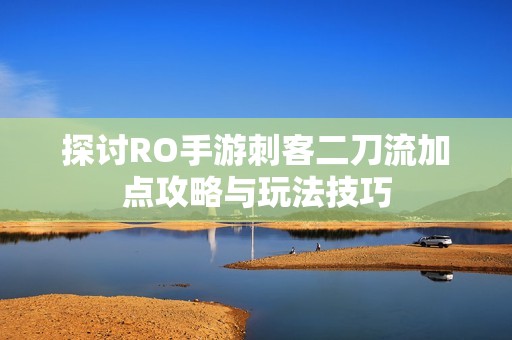 探讨RO手游刺客二刀流加点攻略与玩法技巧