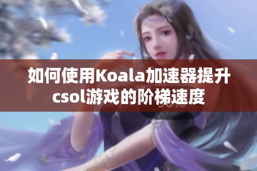 如何使用Koala加速器提升csol游戏的阶梯速度