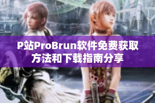 P站ProBrun软件免费获取方法和下载指南分享