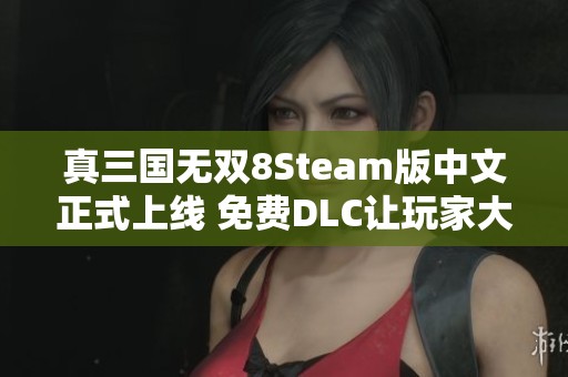 真三国无双8Steam版中文正式上线 免费DLC让玩家大呼过瘾