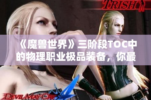 《魔兽世界》三阶段TOC中的物理职业极品装备，你最喜欢的哪一件？