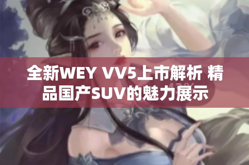 全新WEY VV5上市解析 精品国产SUV的魅力展示