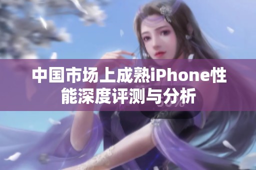 中国市场上成熟iPhone性能深度评测与分析