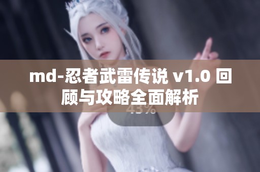 md-忍者武雷传说 v1.0 回顾与攻略全面解析