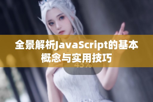 全景解析JavaScript的基本概念与实用技巧