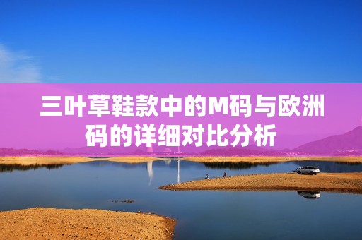 三叶草鞋款中的M码与欧洲码的详细对比分析