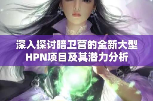 深入探讨暗卫营的全新大型HPN项目及其潜力分析