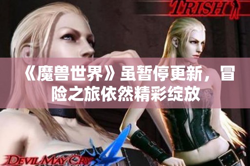 《魔兽世界》虽暂停更新，冒险之旅依然精彩绽放