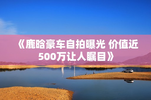 《鹿晗豪车自拍曝光 价值近500万让人瞩目》