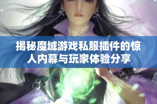 揭秘魔域游戏私服插件的惊人内幕与玩家体验分享