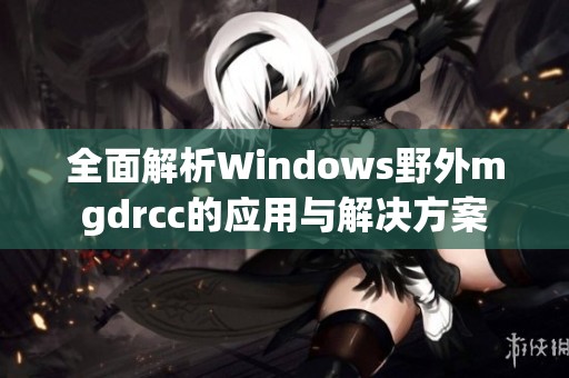 全面解析Windows野外mgdrcc的应用与解决方案