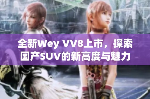 全新Wey VV8上市，探索国产SUV的新高度与魅力