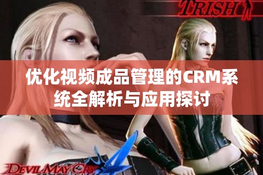 优化视频成品管理的CRM系统全解析与应用探讨