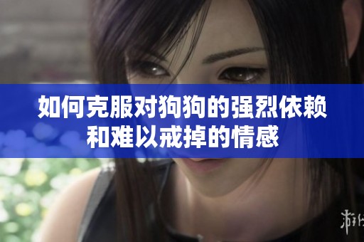 如何克服对狗狗的强烈依赖和难以戒掉的情感