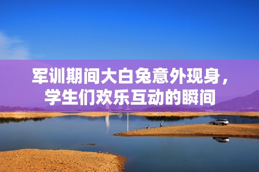 军训期间大白兔意外现身，学生们欢乐互动的瞬间