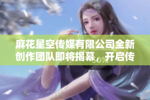 麻花星空传媒有限公司全新创作团队即将揭幕，开启传媒新篇章