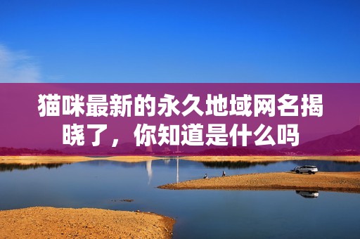 猫咪最新的永久地域网名揭晓了，你知道是什么吗