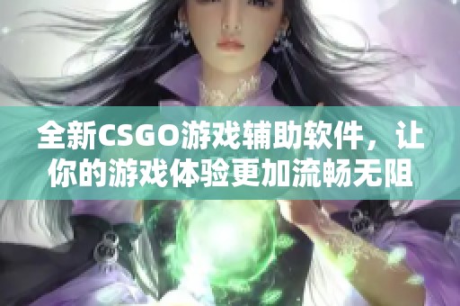 全新CSGO游戏辅助软件，让你的游戏体验更加流畅无阻