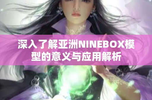 深入了解亚洲NINEBOX模型的意义与应用解析