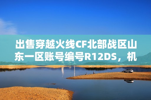 出售穿越火线CF北部战区山东一区账号编号R12DS，机会难得！